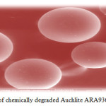 Figure 8: SEM of chemically degraded  resin Auchlite ARA9366 in 20% H2O2