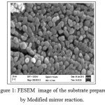 Figure 1: FESEM  image of the substrate prepared by Modified mirror reaction.