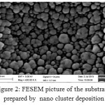 Figure 2: FESEM picture of the substrate prepared by  nano cluster deposition
