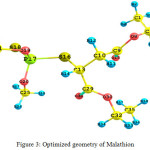 Figure 3: Optimized geometry of Malathion