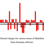 Figure 5: Natural charges for various atoms of Malathion obtained from Gaussian software.