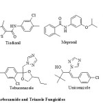 Figure 1: Commerialized Carboxamide and Triazole Fungicides