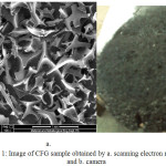 Figure 1: Image of CFG sample obtained by a. scanning electron microscope and b. camera