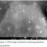 Figure 1: SEM image of material containing palladium nanoparticles
