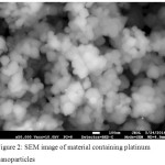 Figure 2: SEM image of material containing platinum nanoparticles