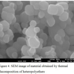 Figure 4: SEM image of material obtained by thermal decomposition of heteropolyethers