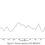 Figure 5: Raman spectra of Se-MCM-41