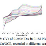 Figure 5: CVs of 0.2mM DA in 0.1M PBS (pH7) at GN-Cu/GCE, recorded at different scan rates.