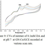 Figure 9: CVs of mixture of 0.1mM DA and UA at pH 7  at GN-Cu/GCE recorded at various scan rate.