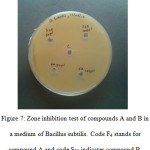 Figure 7: Zone inhibition test of compounds A and B in a medium of Bacillus subtilis. Code F4 stands for compound A and code S25 indicates compound B.