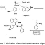 Scheme 2: Mechanism of reaction for the formation of product B