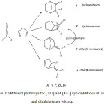 Figure 1: Different pathways for [2+2] and [4+2] cycloadditions of ketene and dihaloketenes with cp