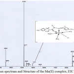 Figure 2: Mass spectrum and Structure of the Mn(II) complex; EIC at m/z 416