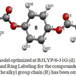 Figure 3: geometry model optimized at B3LYP/6-31G (d) level showing the atomic Numbering   and Ring Labeling for the compounds under investigation, where the alkyl group chain (R) has been omitted for clarity