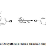 Scheme 3: Synthesis of homo binuclear complexes