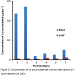 Figure 3: Concentration of La accumulated at root and leaf section at 1 ppm treatment of LaCl3