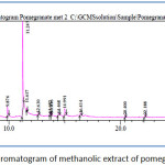 Figure 2: Chromatogram of methanolic extract of pomegranate peel.