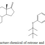 Scheme 1: Structure chemical of estrone and OTBS-estrone.