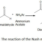 Figure 1: The reaction of the Nash method23 .