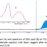 Figure 2: Chromatogram (A) and spectrum of DDL spot (B) on TLC silica plate (Rf = 0.68) resulted from formaldehyde reaction with Nash reagent after elution with mixture of chloroform and methanol (1:4).