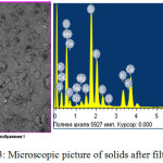 Figure 3: Microscopic picture of solids after filtration.