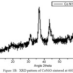 Figure 1B:  XRD pattern of CoNiO sintered at 600ºC.