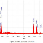 Figure 3b: EDX spectrum of CoNiO.