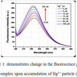 Figure 1: demonstrates change in the fluorescence power of the complex upon accumulation of Hg2+ particle (HgCl2)