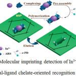 Scheme 1.Molecular imprinting detection of In3+ ions based on metal-ligand chelate-oriented recognition Ref 34.