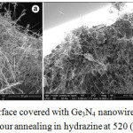Figure 3: Ge surface covered with Ge3N4 nanowire “mat” formed after 1 hour annealing in hydrazine at 520 (a) and 540°C (b). 