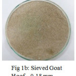Figure 1b: Sieved Goat Hoof – 0.18 mm