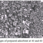 Figure 1: SEM images of prepared adsorbent at 40 and 60 k × magnifications.