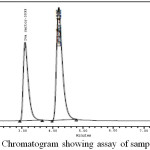 Figure 7: Chromatogram showing assay of sample injection.