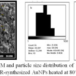 Figure 10:  a -SEM and particle size distribution of  spherical (b)  and  rod like(c)  ISCR-synthesized AuNPs heated at 80°C for 30 min. 