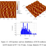 Figure 12: AFM pictures and size distribution of ISCR-synthesized AuNPs heated at 80°C for 30 min. Average diameter 85.52 nm.