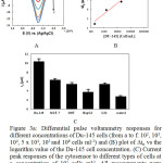 Figure 3: (A) Differential pulse voltammetry responses for different concentrations of Du-145 cells (from a to f: 102, 103, 104, 5 x 104, 105 and 106 cells ml-1) and (B) plot of Δip vs the logarithm value of the Du-145 cell concentration. (C) Current peak responses of the cytosensor to different types of cells at a concentration of 105 cells ml-1. All measurements were employed from -0.3 to 0.1 V in 100 mM PBS buffer (pH 7.0) containing 1.5 mM H2O2. The error bars represent relative signals across three repetitive experiments.