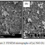 Figure 2: FESEM micrographs of (a) NiO (b) Pr2O3-NiO