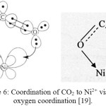 Figure 6: Coordination of CO2 to Ni2+ via pure oxygen coordination [19].
