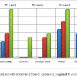 Figure 2: Antibacterial activity of extracts from C. cyanus (L.) against E. coli (clinical isolate).