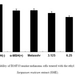 Figure 1: Cell viability of B16F10 murine melanoma cells treated with the ethyl acetate fraction of Sargassum muticum extract (SME).