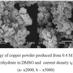 Figure 1: Morphology of copper powder produced from 0.4 M solution ofcopper (II) nitrate trihydrate in DMSO and  current density ik= 900 А/m2 (а- х2000, b – х5000)