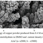 Figure 2: Morphology of copper powder produced from 0.4 M solution ofcopper (II) nitratetrihydrate in DMSO and  current density ik= 1000 А/m2 (а- х2000, b – х5000)