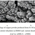Figure 3: Morphology of copper powder produced from 0.4 M solution ofcopper (II) nitrate trihydrate in DMSO and current density ik= 1100 А/m2 (а- х2000, b – х5000)