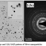 Figure 1a: TEM image and 1(b) SAD pattern of silver nanoparticles