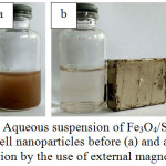 Figure 3: Aqueous suspension of Fe3O4/SiO2/TiO2 core-shell nanoparticles before (a) and after (b) separation by the use of external magnetic bar