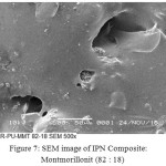 Figure 7: SEM image of IPN Composite: Montmorillonit (82 : 18)
