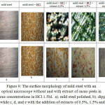 Figure 9: The surface morphology of mild steel with an optical microscope without and with extract of cacao peels in various concentrations in HCl 1.5M.  a). mild steel polished, b). dipped in HCl, while c, d, and e with the addition of extracts of 0.5%, 1.5% and 2.5%.