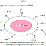 Figure 2: the non-bonded interaction between Fe3O4 and silica shell for binding to 3-aminpropyltrimethoxysilane (APTMS)