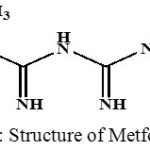 Figure 1: Structure of Metformin