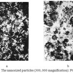 Figure 5: The nanosized particles (300, 000 magnification): Pt (a), Pd (b)